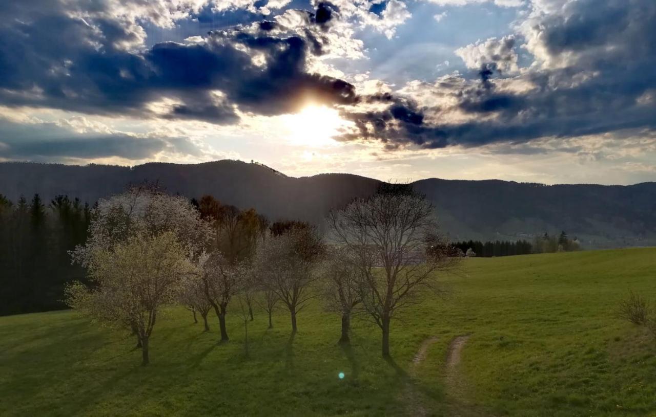 Irlingerhof Gasthuis Mondsee